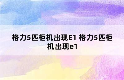 格力5匹柜机出现E1 格力5匹柜机出现e1